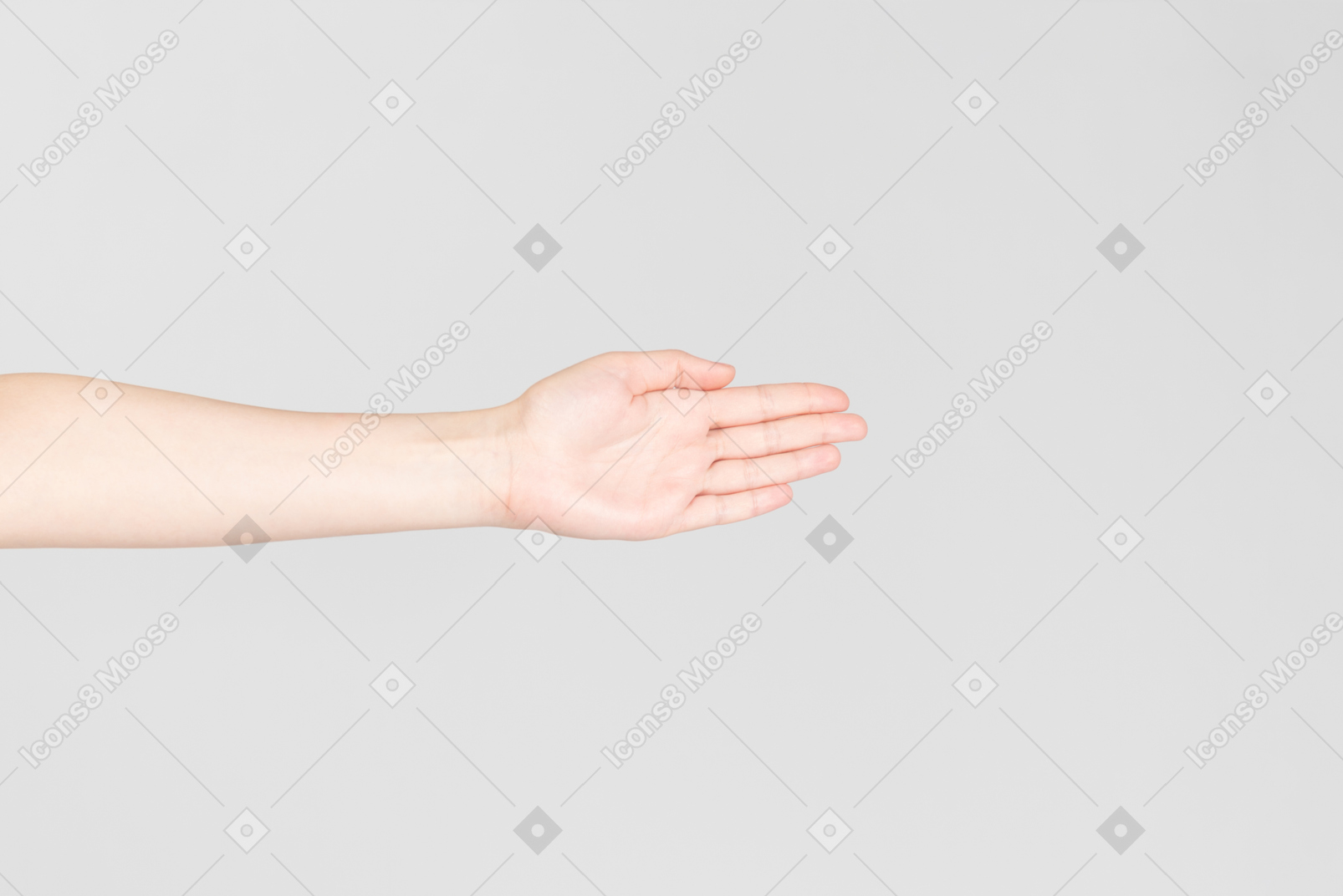 Mirada lateral de la palma de la mano femenina