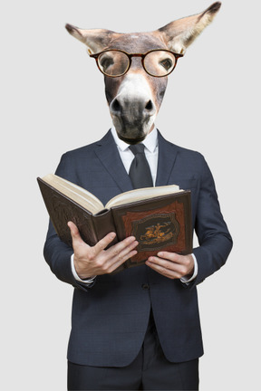 A donkey wearing glasses and holding a book