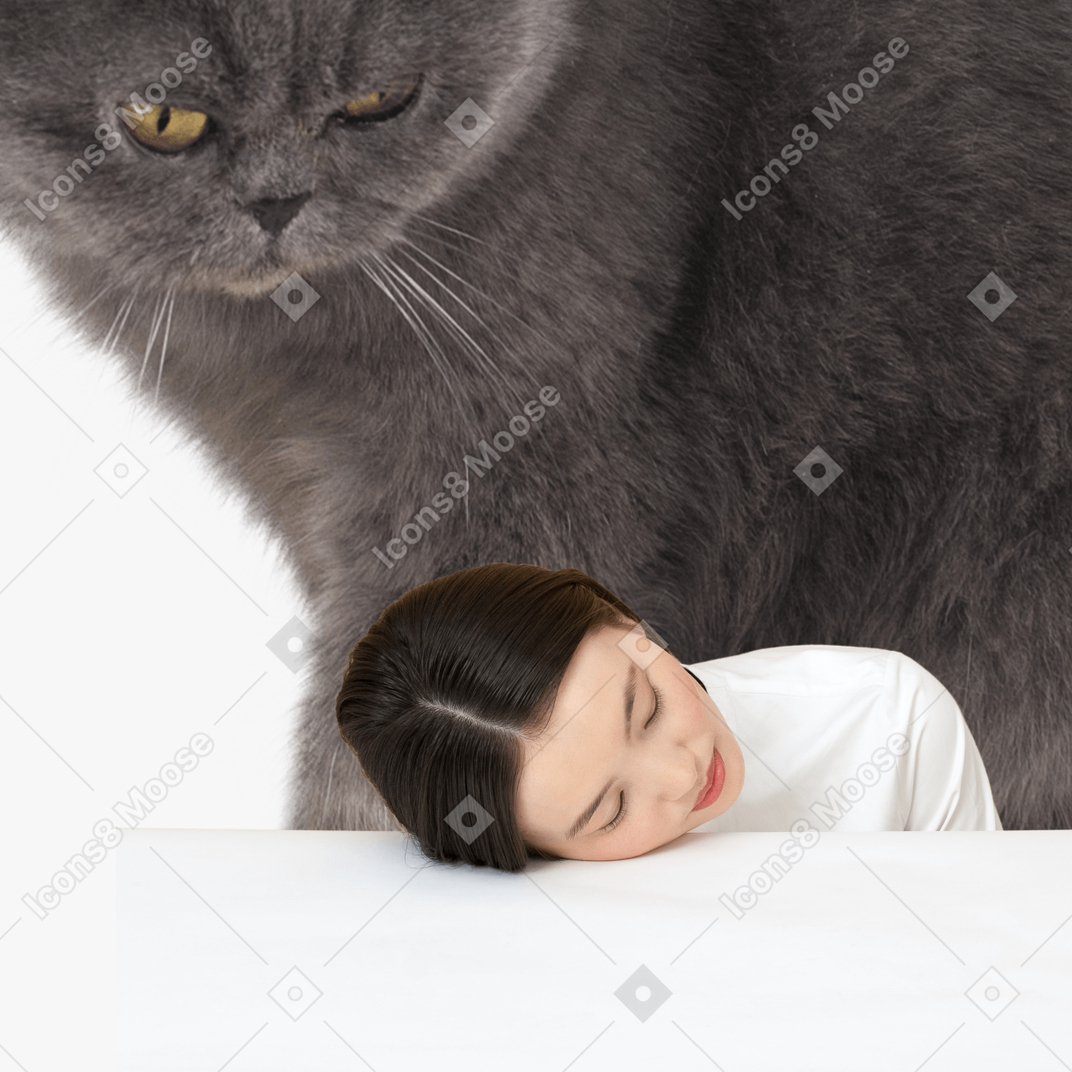 Huge cat looking at woman lying with her head down on table