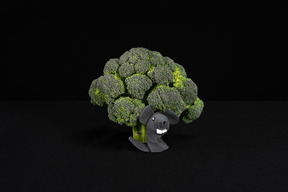 Brócoli y ratón de juguete sobre fondo negro