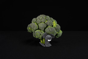 Broccoli e topo giocattolo su sfondo nero