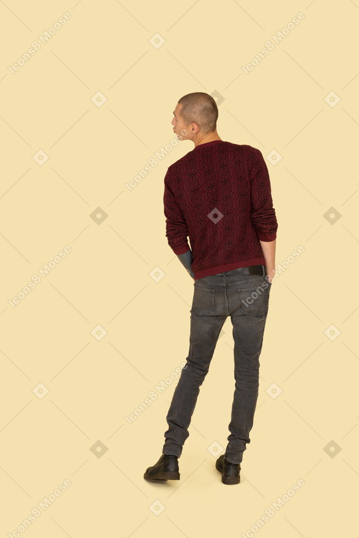 Back view of a  kissing young man in red pullover