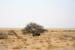 Wilde natur erkunden