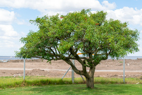 Ruhige und schöne aussicht in die natur