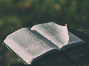 Libro abierto al aire libre