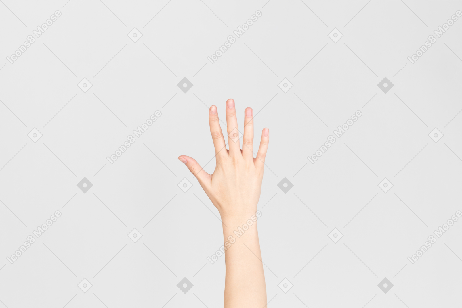 위에서 표시된 여성 손 손바닥