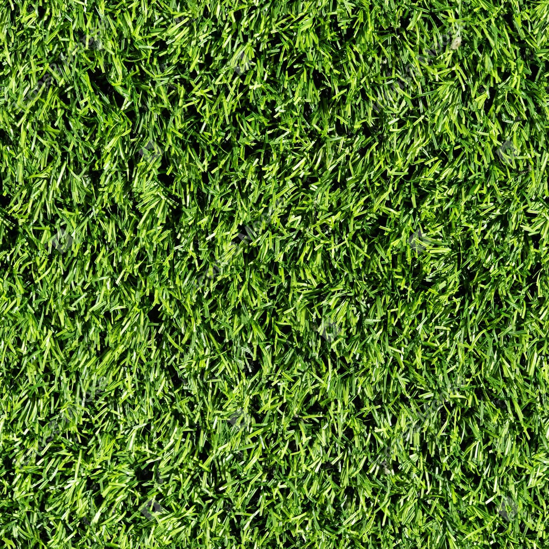Texture de l'herbe verte