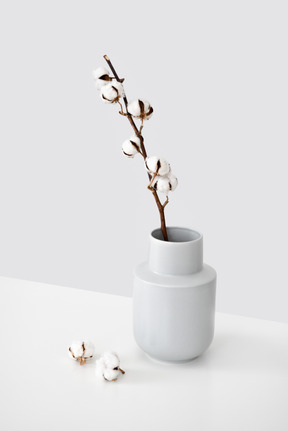 Cotton branch in a white ceramic vase