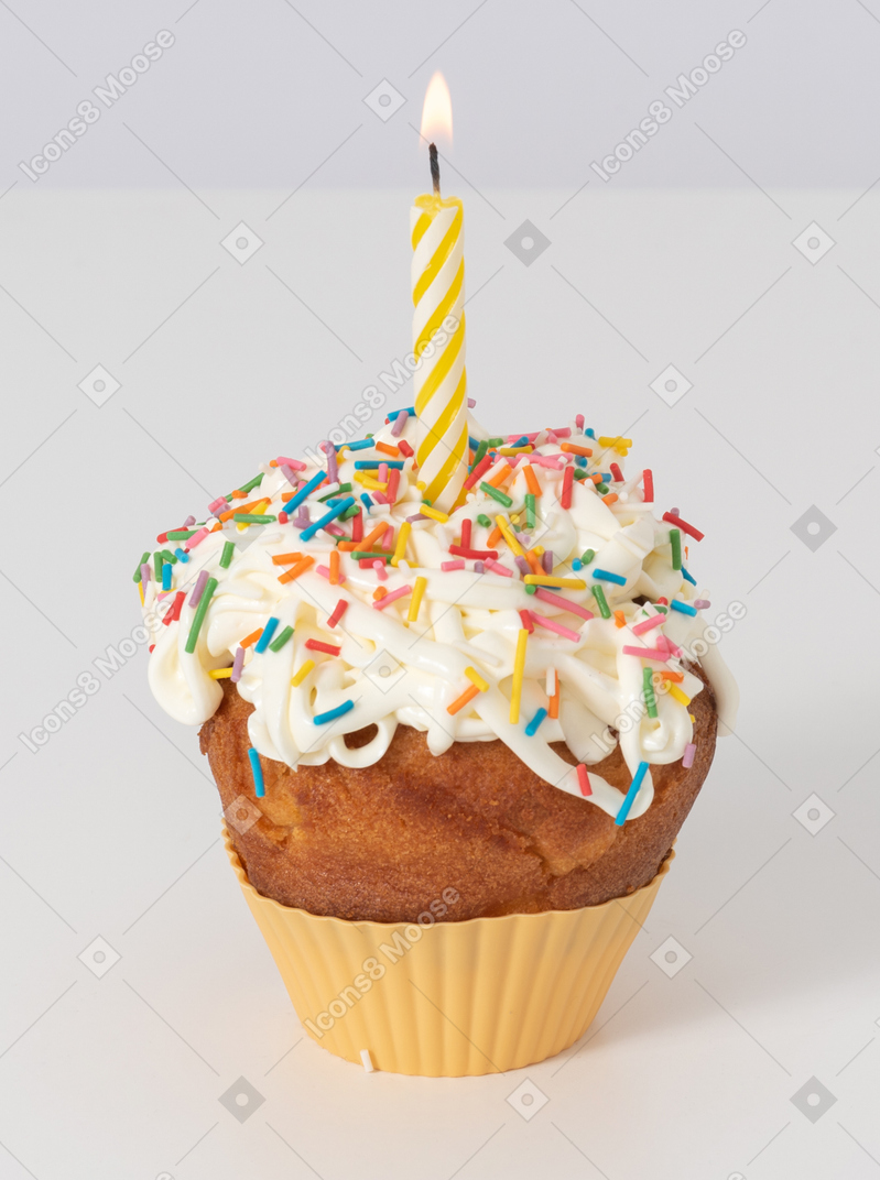 Birthday cupcake with sprinkes and candle