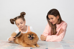 Gonna brush our fluffy friend really nice