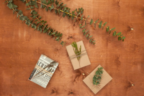 Dried plants twigs