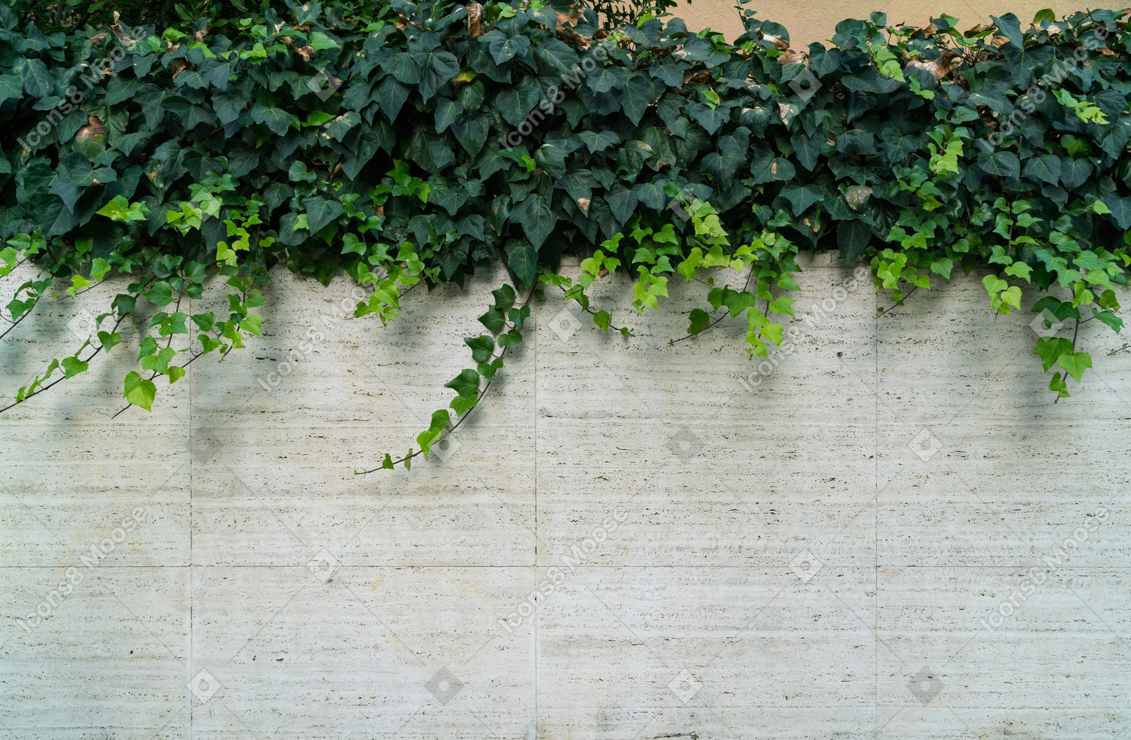 A brick wall in the city