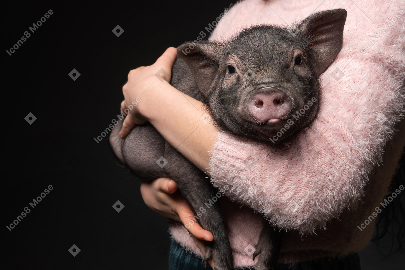 Beautiful girl holding miniature pig