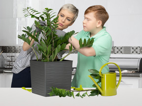 A woman and a boy are looking at a potted plant