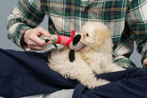 Close-up de um mestre em uma camisa xadrez brincando com um poodle branco