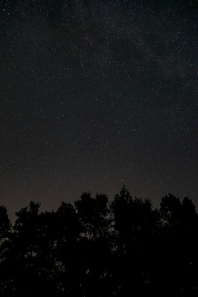 Stars in space in night sky