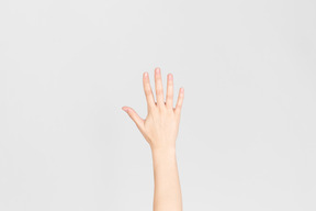 위에서 표시된 여성 손 손바닥