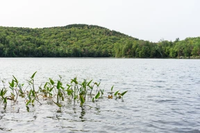 Naturaleza