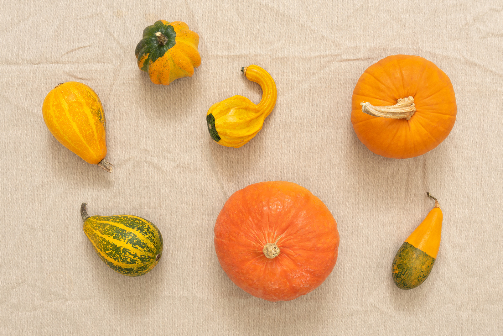 Beautiful pumpkins of different shapes and colors