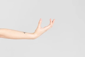 Mirada lateral del brazo femenino tatuado que parece sostener algo