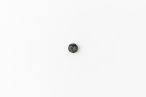 One blueberry on a white background