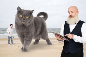 Bearded man with tablet, blind man with white cane and huge grey cat on the beach