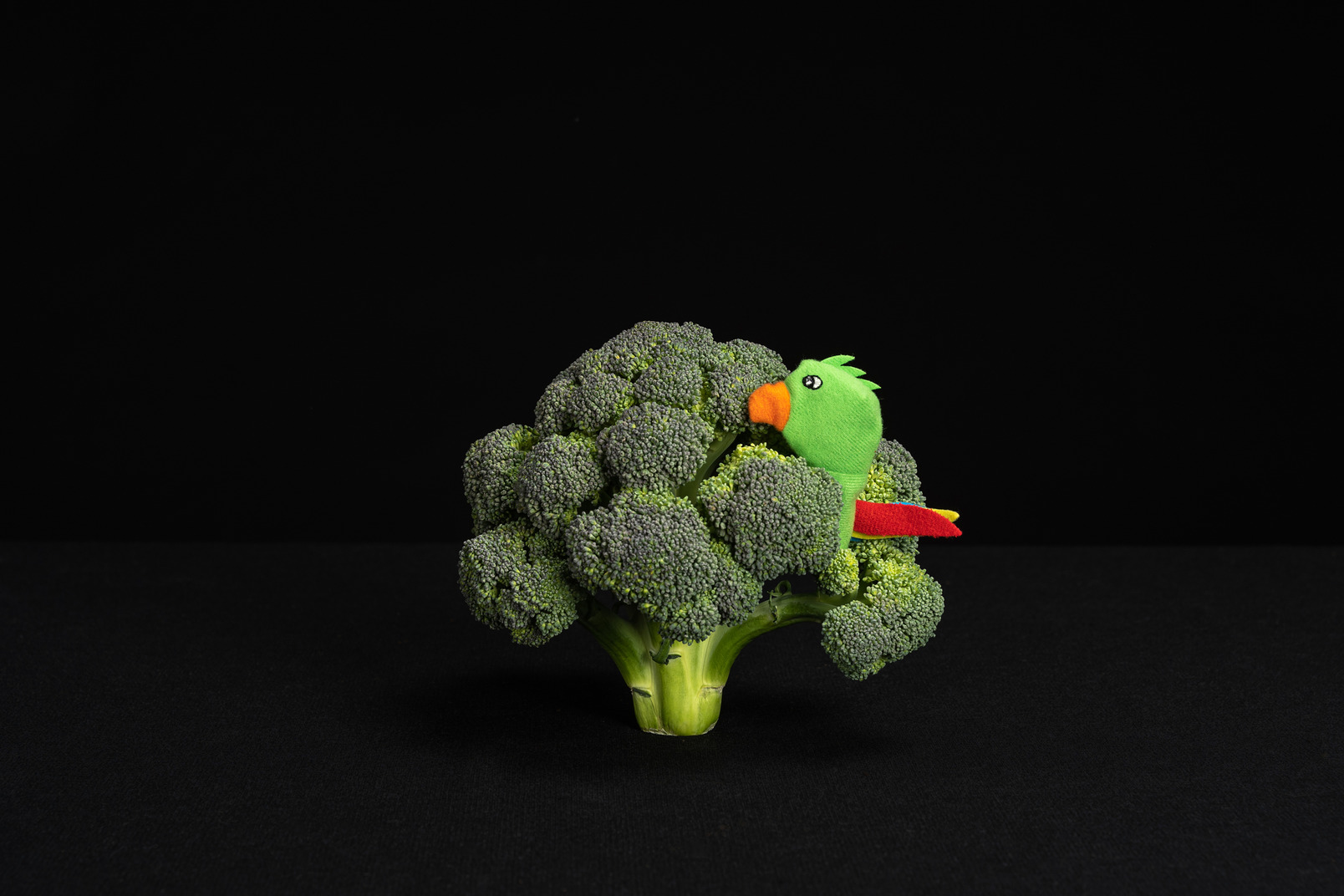 Toy parrot sitting in broccoli tree in black background