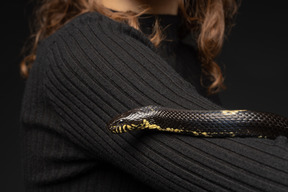 Black striped snake curving around young woman's neck