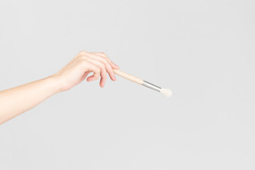 Female hand holding brush