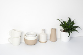 Ceramic kitchenware and house plant