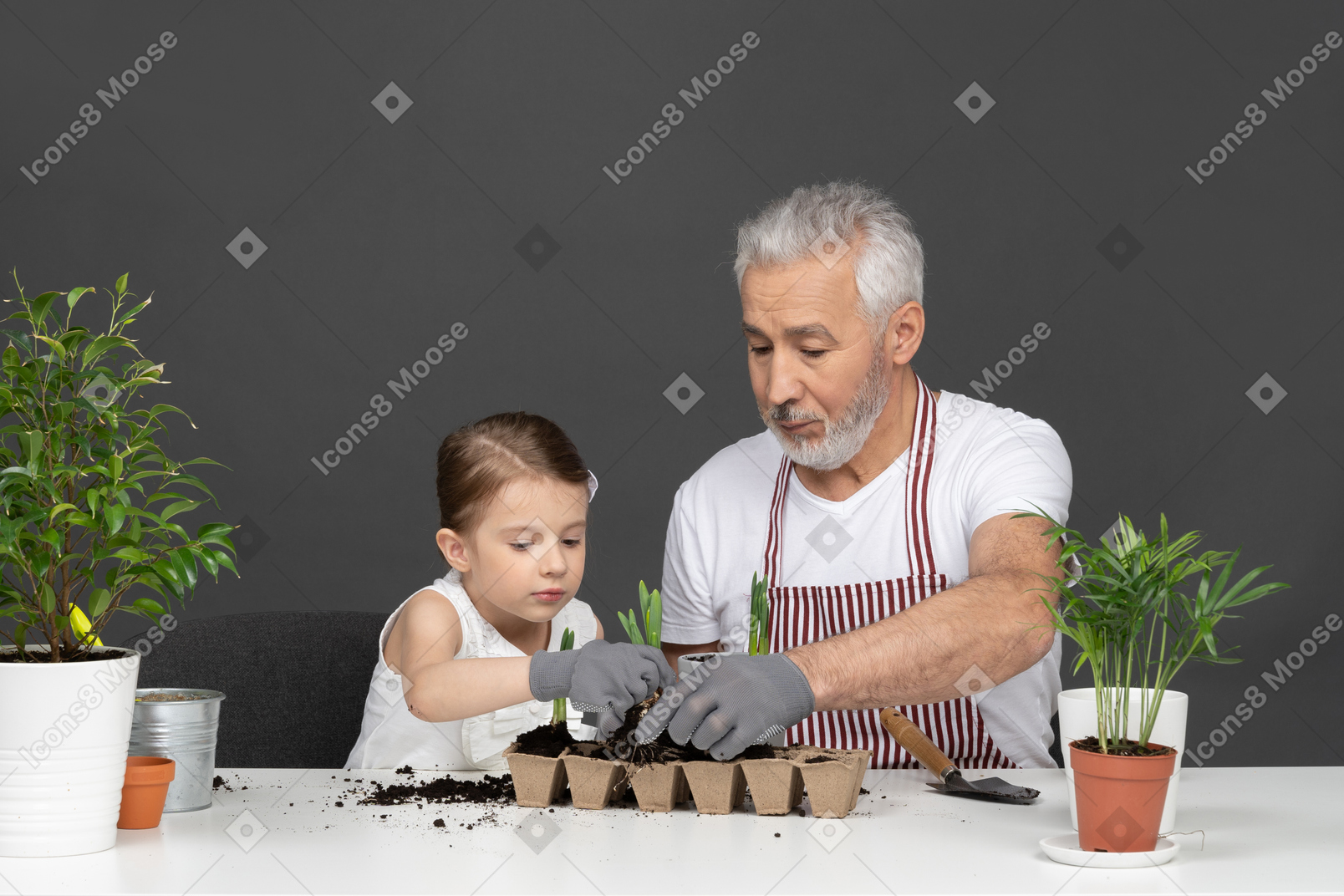 Маленькая девочка и зрелый мужчина садоводство
