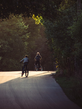 Bicycle