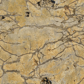 Vieux béton jaune fissuré