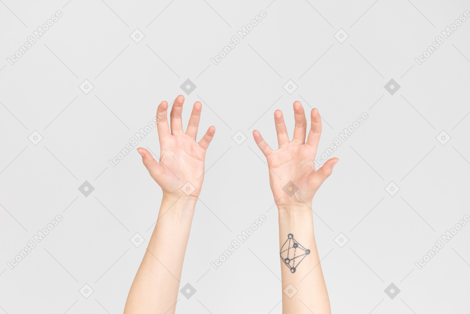 I palmi delle mani femminili mostrati alla telecamera