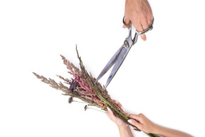 Bouquet of dried flowers