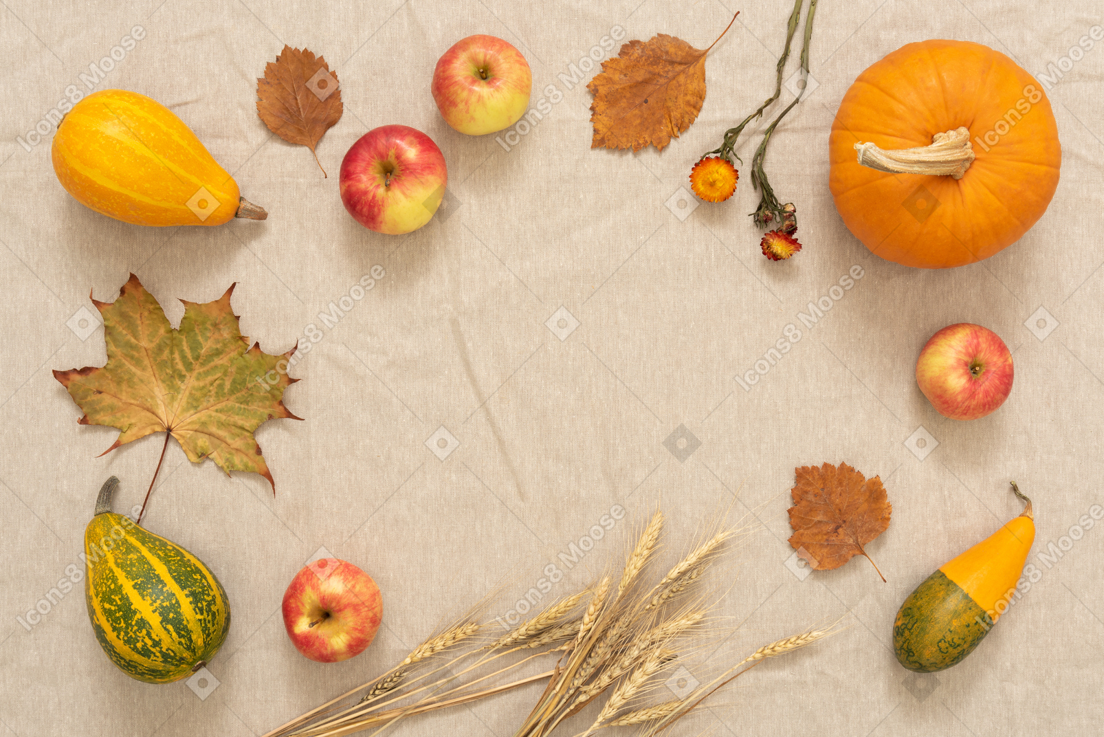 秋の収穫