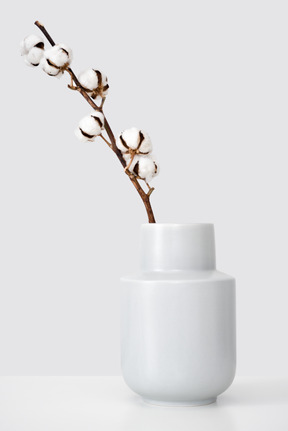 Cotton branch in a white ceramic vase