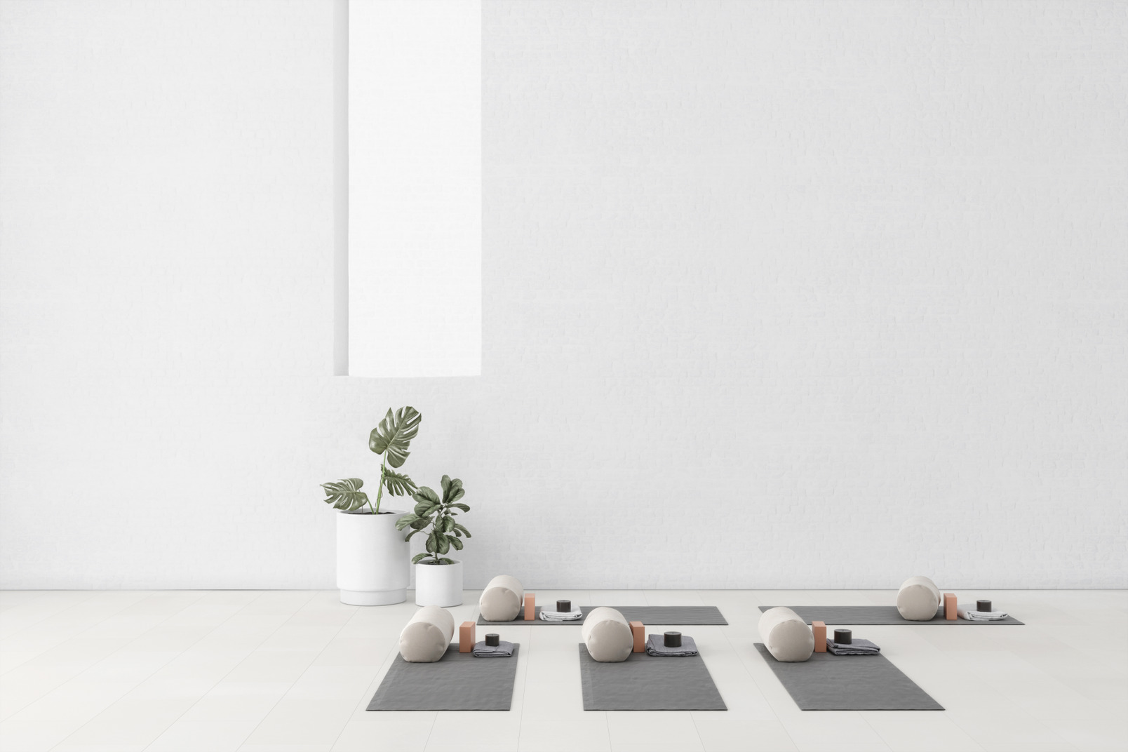 A white minimalistic fitness studio, with potted plants and yoga mats