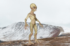 Alien standing on a mountain