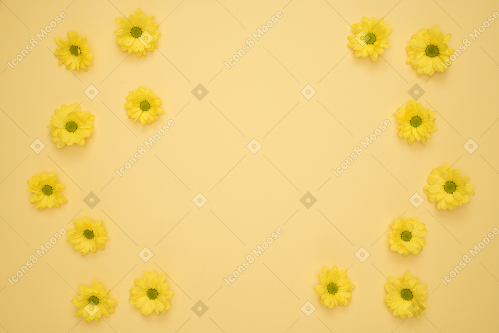 Cabezas de flores