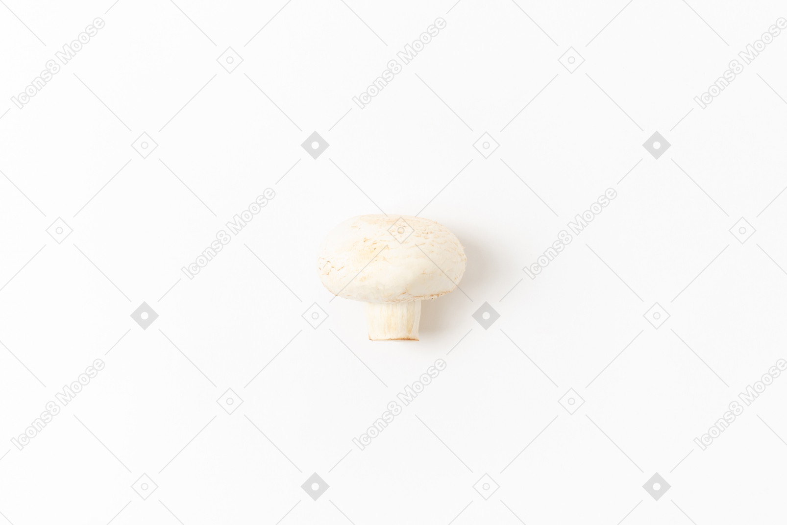 关于蘑菇配方的任何想法？