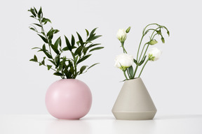 Vases en céramique avec branche verte et eustoma blanc