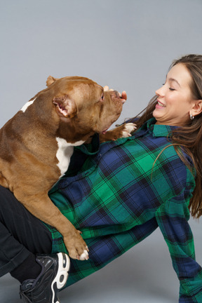 Attacco di cane felice