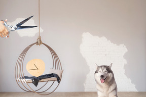 Scissors about to cut rope of hanging chair