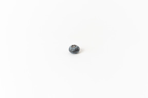 One blueberry on a white background