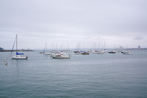 Mar de niebla y barcos estacionados pic