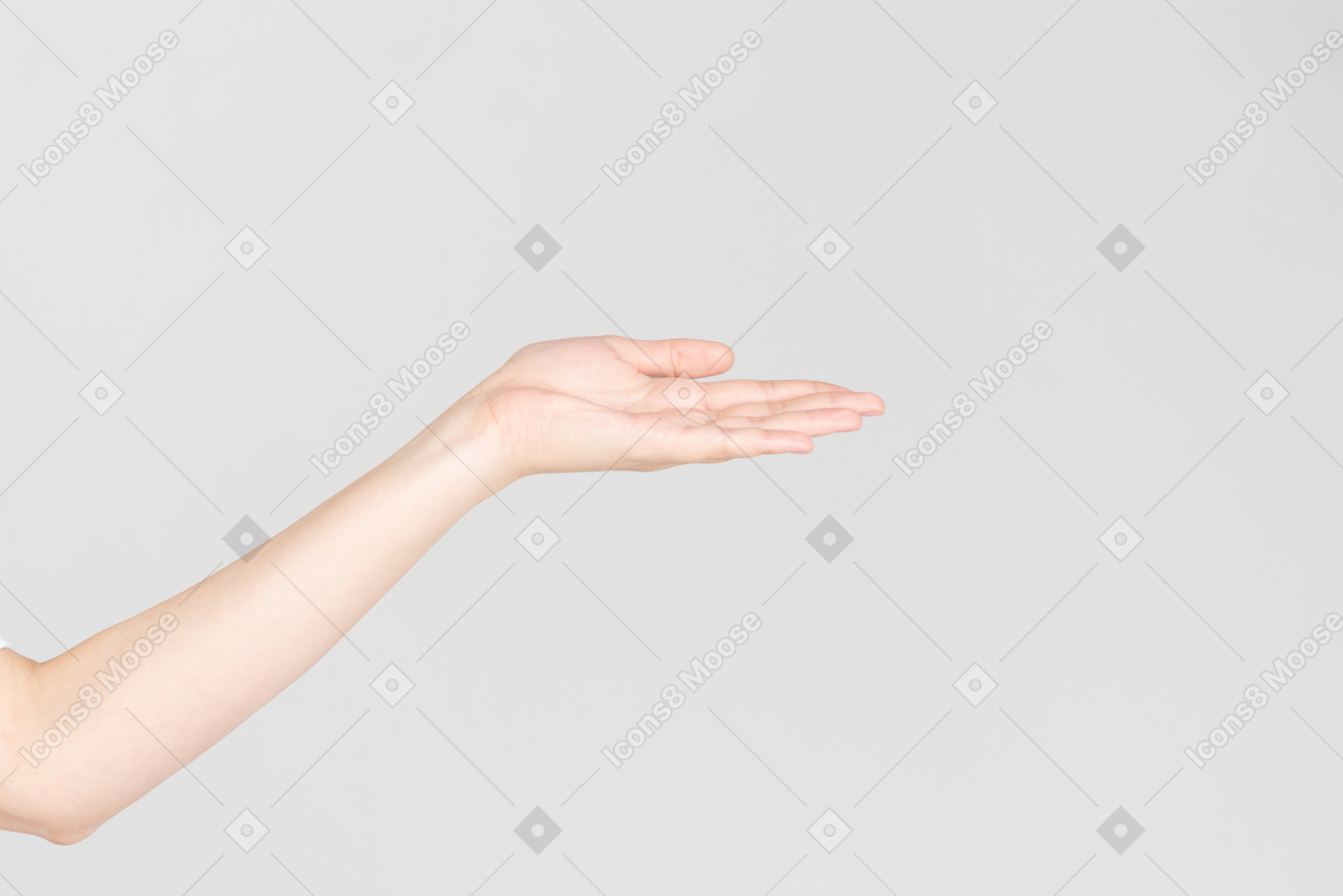 Seitenblick der weiblichen hand handpalme zeigend