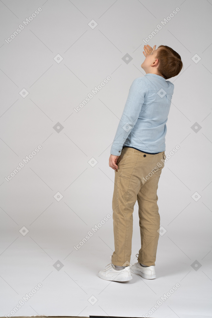Boy standing back to camera and looking up