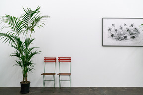 Two chairs, plant in the pot and framed picture on the wall