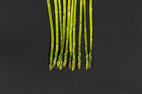 Asperges sur fond noir